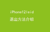 iPhone12leid˳