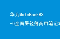 ΪMateBookB3-0ȫᱡñʼǱճ칫